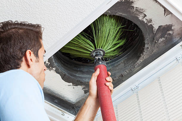 Best Affordable Air Duct Cleaning  in Chocowinity, NC