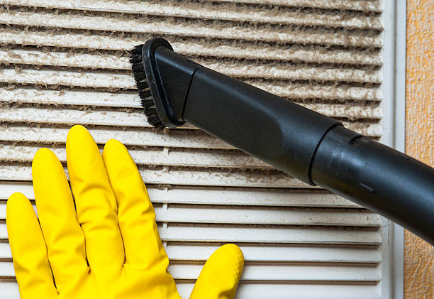 Best Air Duct Mold Removal  in Chocowinity, NC